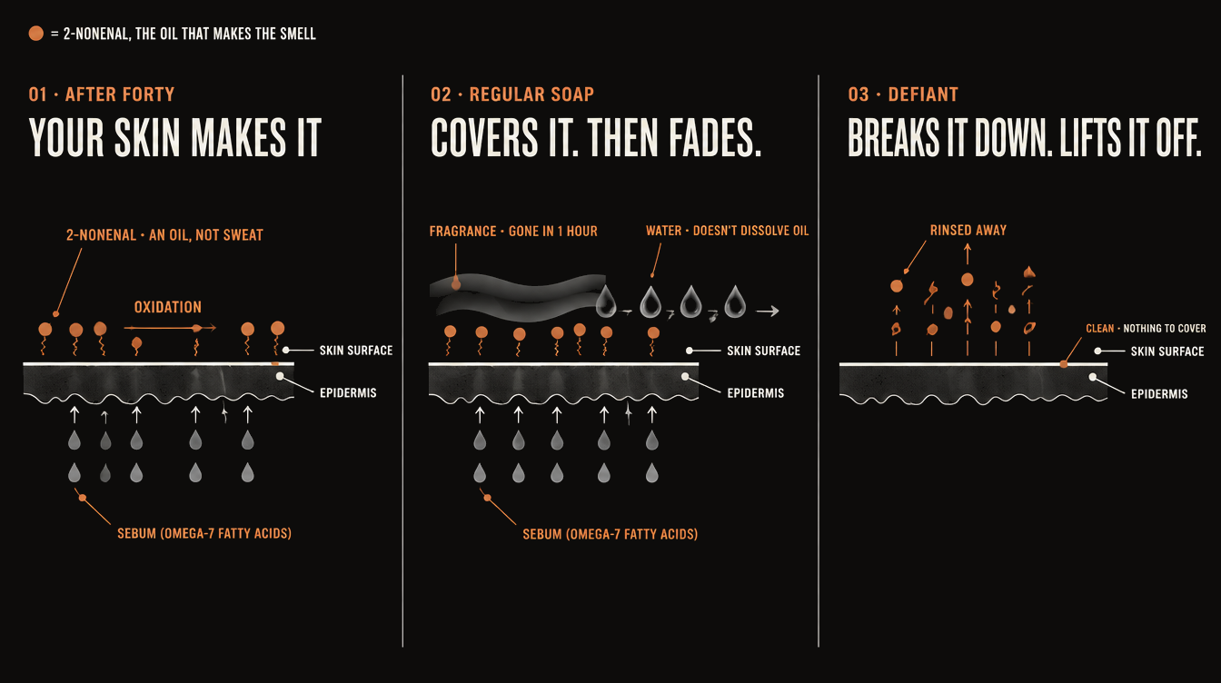 Skin cross-section in three panels. After forty: sebum (omega-7 fatty acids) rises through the epidermis and oxidizes on the skin surface into 2-nonenal, an oil, not sweat. Regular soap: fragrance sits on top and is gone in an hour; water doesn't dissolve the oil. Defiant: breaks the oil down and lifts it off; skin surface clean, nothing to cover.